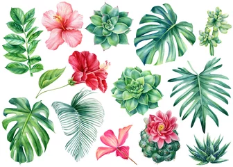 Set tropische Blumen und Blätter auf isoliertem weißem Hintergrund, Aquarellmalerei, Einladungskarten © Hanna