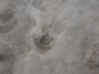 footprint in sand