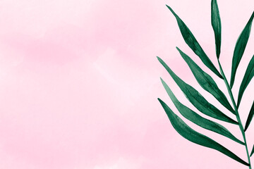 Palm green watercolor leaf on pink background. Template for decorating designs and illustrations.
