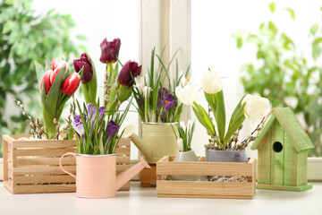 Different beautiful spring flowers with birdhouse on window sill