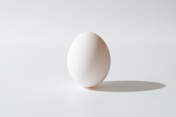 立っている卵（白背景）