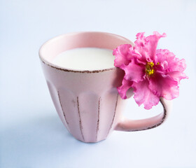 Pink milk in a cup with a large violet