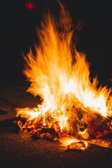 Chinese New Year Jade Emperor Praying with joss paper burning.