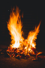 Chinese New Year Jade Emperor Praying with joss paper burning.