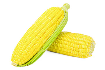 Sweet corns with husk isolated on a white background