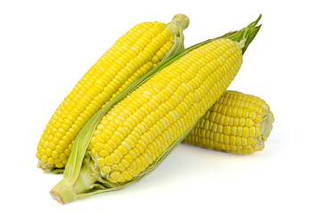 Sweet corns with husk isolated on a white background
