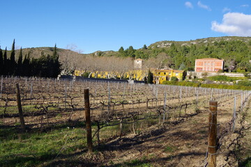 Fototapeta na wymiar Mas ou domaine ou propriété de vigne pour faire du vin en sud de France, château rouge