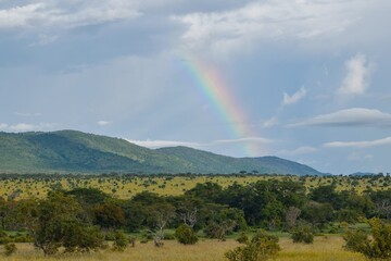 Scenic field against rainbow at Tsavo National Park, KENYA