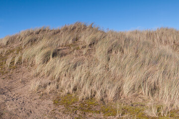 Scenic view of the sand dunes at Braunton Burrows in North Devon. These sand dunes are a wildlife reserve and popular walking spot.