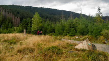 Tourists couple on pathway in Tatra mountains. Green tourist trail mark on a stone. © Fotema