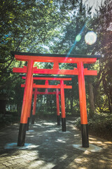 tourlist at red Torii gate