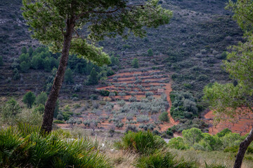 Fototapeta na wymiar Nature Landscape in the Sierra de Irta Spain