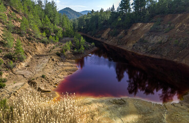 Acidic red lake in abandoned open pit mine in a forest, result of the pyrite ore extraction in the...