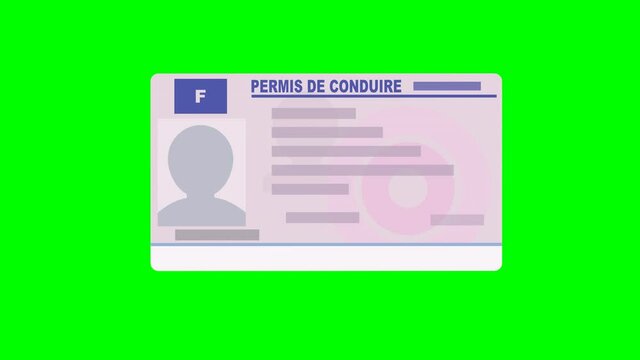 Une main pr&eacute;sente son permis de conduire format carte de cr&eacute;dit sur fond vert (flat design)