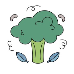 Vector illustration of a broccoli.