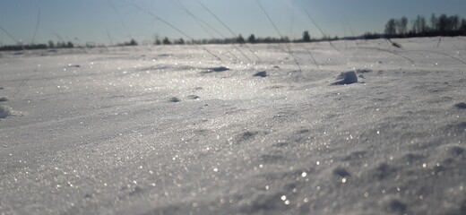 landscape with snow