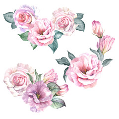 set of flowers bouquets.watercolor