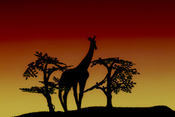 Fototapeta na wymiar Giraffe und Affenbrotbaum in Afrika
