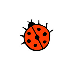 Ladybug. Beetle with polka dots. Insect. Vector hand-drawn doodle illustration. 