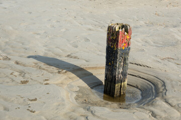Weathered beach pole with a red head in a hole on the beach worn out by the water