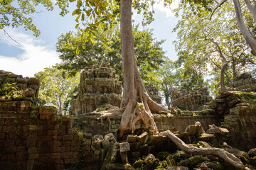 Travel through Cambodia at the temple complex.