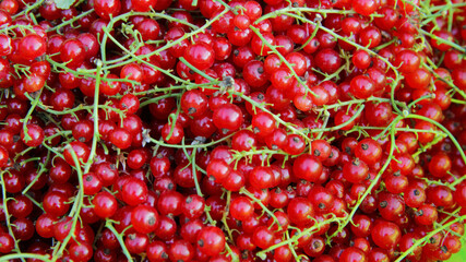 a lot of red currants in the store not the counter