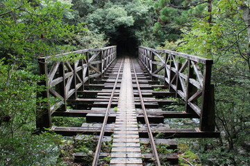 Hiking in Yakushima, Arakawa Trail / 屋久島でのハイキング, あらかわのコース 