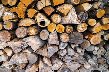 Chopped Firewood Piled up for Winter