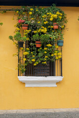 Colonial Scene window, balcony, traveling South america. Latin American Culture