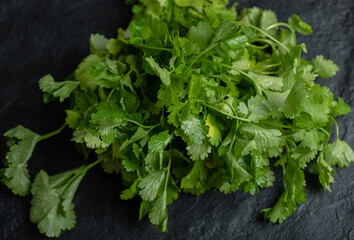 close up photo of Branch of fresh coriander leaves