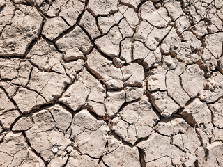 dry desert soil