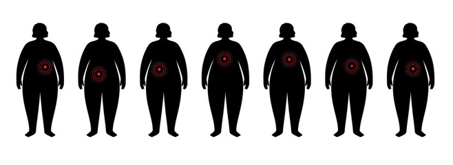 Organs in obese human body