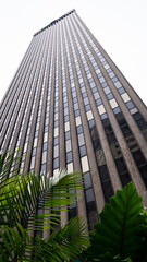 Obraz premium nature and city