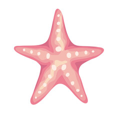 starfish sea shell color pink isolated icon vector illustration design