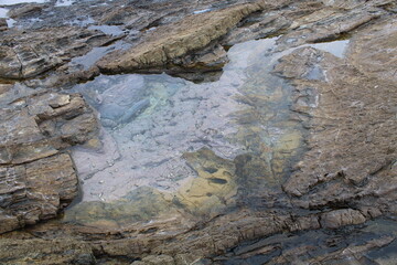 Tidal pool on Yakushima (屋久島)