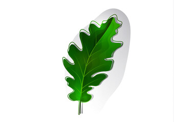Creative green oak leaves on a light background. Template for your design. Vector