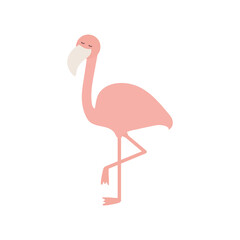 cute flemish on a white background