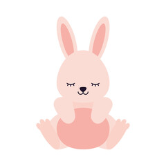 cute rabbit on a white background