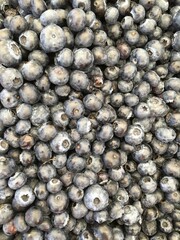 Closeup of blueberries