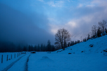 Einsamer Baum vor dem Wolken 