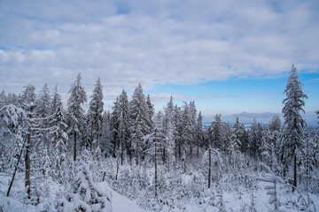 Winter day, blue and white