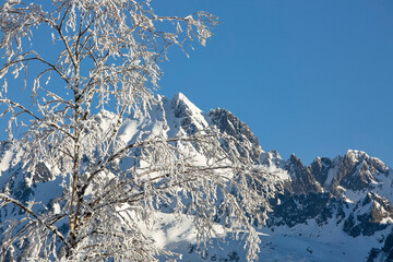 Beautiful winter landscape, wintertime outdoor background