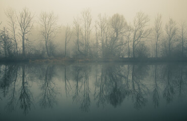 Fototapeta premium misty morning on the river