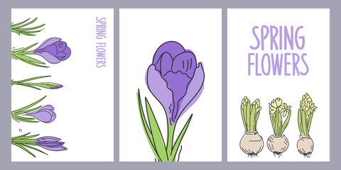 Set of cards with crocus and hyacinth pattern with spring flowers letters. Vector illustration.