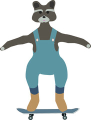 Raccoon is walking on a skateboard