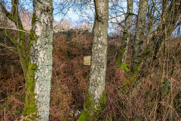 Febuary 2021 Whitley Common