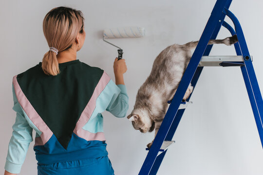 A girl of Asian appearance makes repairs in the house with a British cat. Young woman paints the wall white, the Shetland tabby cat sits on the stairs.