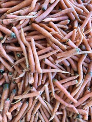 Fresh spring carrots for sale at the farmers market