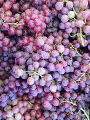 Close up of grapes for sale at the farmer's market