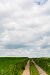 Fototapeta na wymiar droga między polami prowadząca po horyzont